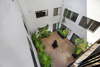 Courtyard view with plants.