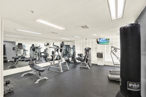 Los Angeles apartment for rent - A gym with various exercise equipment at Midvale Towers, California, 90024
