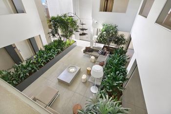 A living room with a couch, a table, and a potted plant