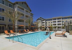 Murrieta apartment for rent - A swimming pool surrounded by orange lounge chairs and palm trees.