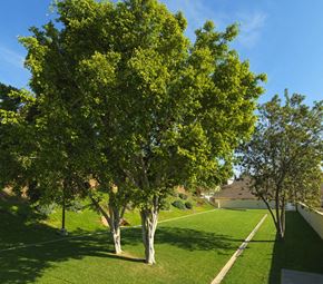 Yorba Linda apartment for rent - Villa Plumosa Outdoor Space