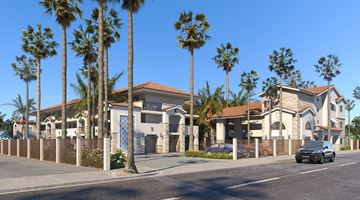 Anaheim apartment for rent - A row of palm trees line a street in front of a row of houses.