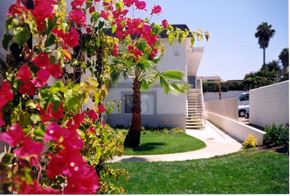 National City apartment for rent - Vista Del Sol Flowers and Community Building