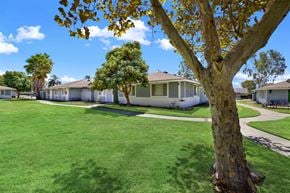 Upland apartment for rent - Community courtyard with mature trees and walking paths at Coventry Square Apartments, California