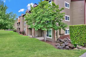 Seattle apartment for rent - A tree in front of a building with a green lawn.