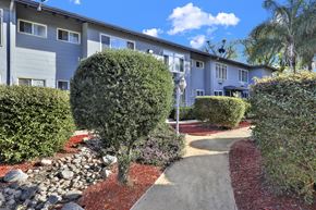 Van Nuys apartment for rent - A garden with a red mulch pathway and a grey building in the background at Sylvan Gardens,Van Nuys,CA,91401