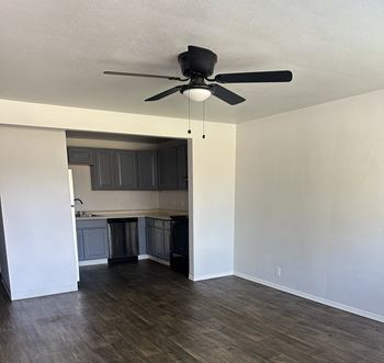 Ceiling fan