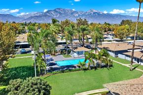 Upland apartment for rent - Community pool surrounded by lawn and palm trees at Coventry Square Apartments, Upland, CA