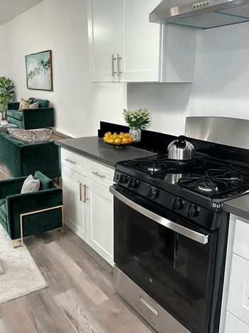 Gas range