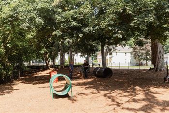 Dog park