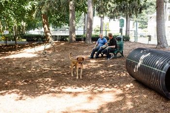 Dog park
