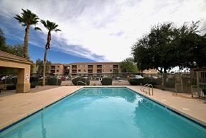 Mesa apartment for rent - A swimming pool surrounded by palm trees and a building in the background.