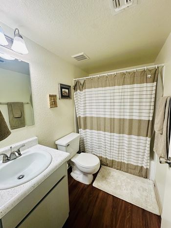 Bathroom with toilet, sink, and shower curtain