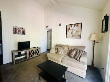 Living room with television