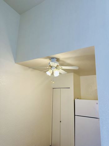 Ceiling fan with lights