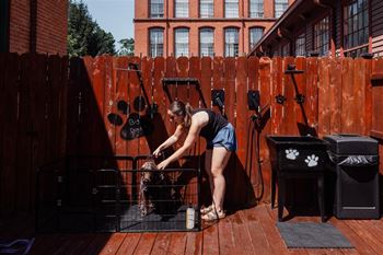 Dog wash