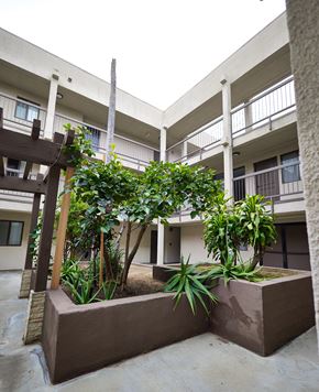 Los Angeles apartment for rent - A concrete planter with a wooden trellis and green plants.