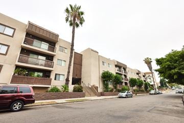 Los Angeles apartment for rent - A tall palm tree stands in front of apartment buildings.