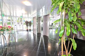 Los Angeles apartment for rent - A plant in a pot sits on a black tile floor in a brightly lit hallway.