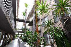 Los Angeles apartment for rent - A green plant is in the middle of a walkway.