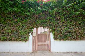 Los Angeles apartment for rent - A gate is covered by green vines.