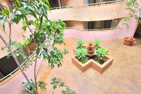 Los Angeles apartment for rent - A tree is in a planter next to a building.