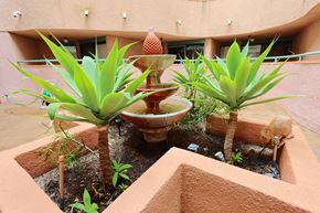 Los Angeles apartment for rent - A small fountain surrounded by plants in a courtyard.