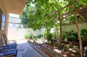 Los Angeles apartment for rent - A patio with a table and chairs and a tree.
