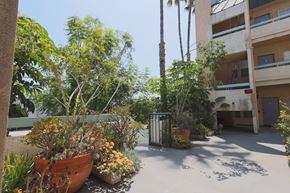 Los Angeles apartment for rent - A courtyard with a building and a tree.