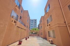 Los Angeles apartment for rent - A courtyard between two buildings with a tree in a planter.