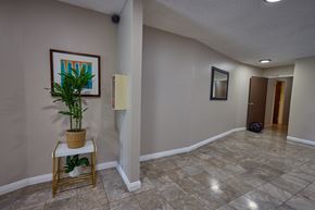 Los Angeles apartment for rent - A room with a plant on a stand and a framed picture on the wall.