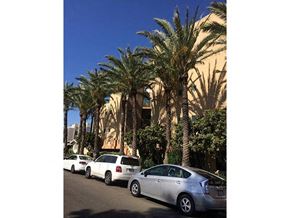 Los Angeles apartment for rent - a row of cars parked in front of palm trees