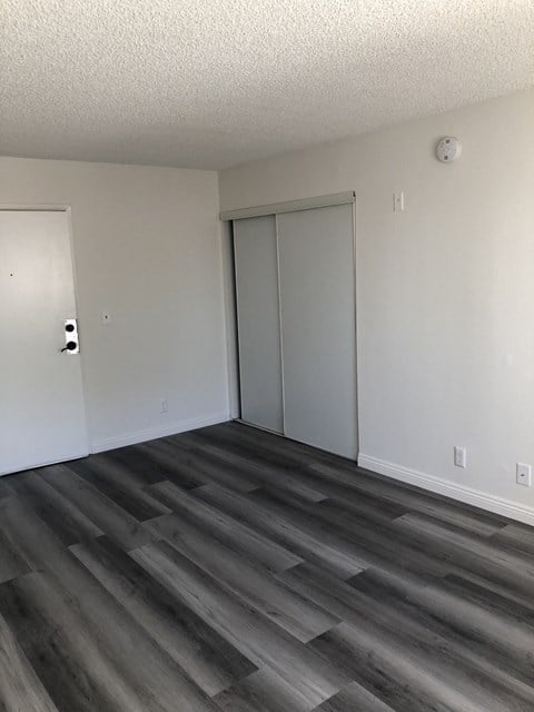 Floor plan for studio, 1 bath, 250 sqft