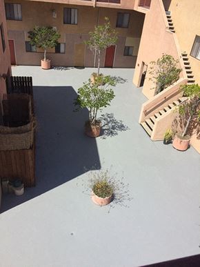 Los Angeles apartment for rent - a view of a roof with potted plants on it