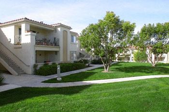 Lush green outdoor