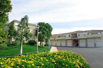 Courtyard garden space