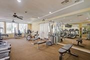 Newbury Park apartment for rent - Fitness center/ on-site gym at Monarch at Dos Vientos Newbury Park, CA 91320