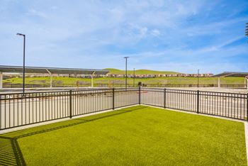 Pet park