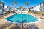Long Beach apartment for rent - a swimming pool with palm trees in the background at Park Avenue Apartments, Long Beach, CA, 90815