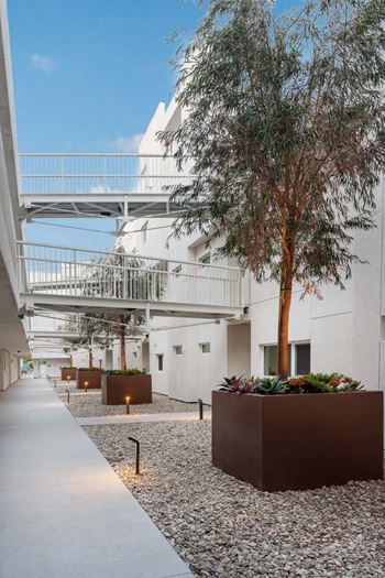 Courtyard