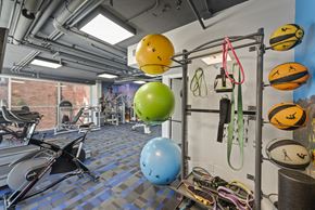 Los Feliz apartment for rent - A gym with a blue wall and a green ball hanging from the ceiling.