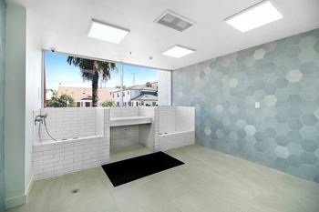 Pet washing station