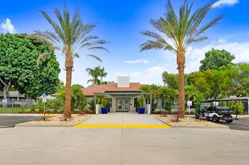 A parking lot with palm trees in front of a building