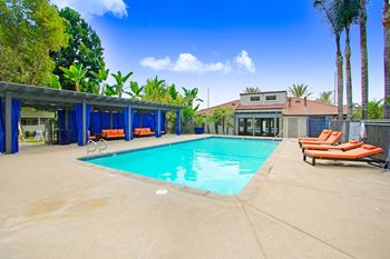 The swimming pool at our hotel in palm springs