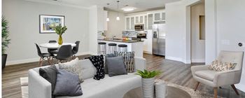 Modern living area