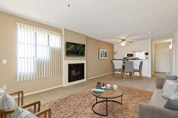 Living room with fireplace