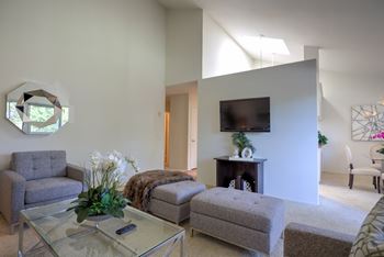 Living space and kitchen model