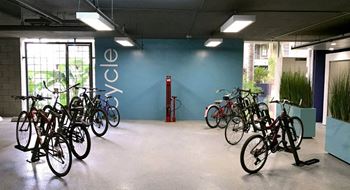 Peloton bikes