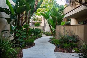 Santa Monica apartment for rent - A concrete walkway leads through a lush garden.