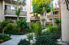 Santa Monica apartment for rent - A garden with a pathway and a building in the background.